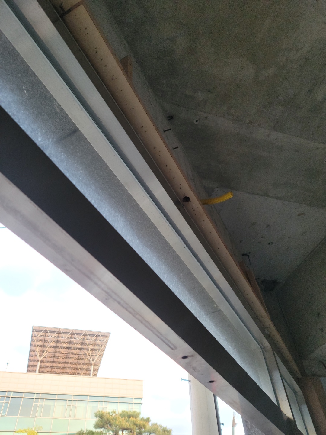 1785037169_Jc9DNe3b_c74b00a43ce67d8248a9f198e37242b3da5f010a.jpg 이미지크게보기